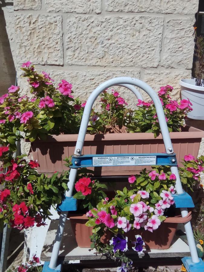 Cozy Garden Apartman Jeruzsálem Kültér fotó