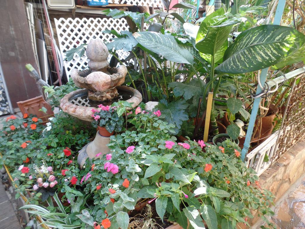 Cozy Garden Apartman Jeruzsálem Kültér fotó