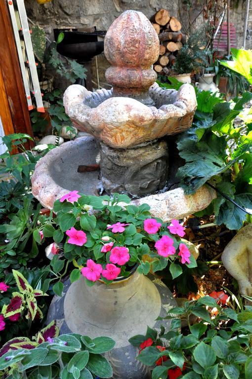 Cozy Garden Apartman Jeruzsálem Kültér fotó