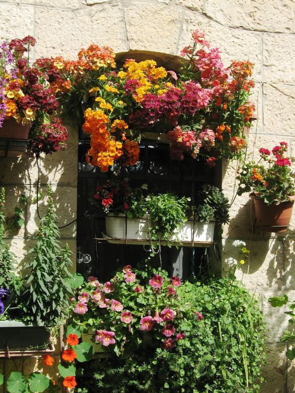 Cozy Garden Apartman Jeruzsálem Kültér fotó