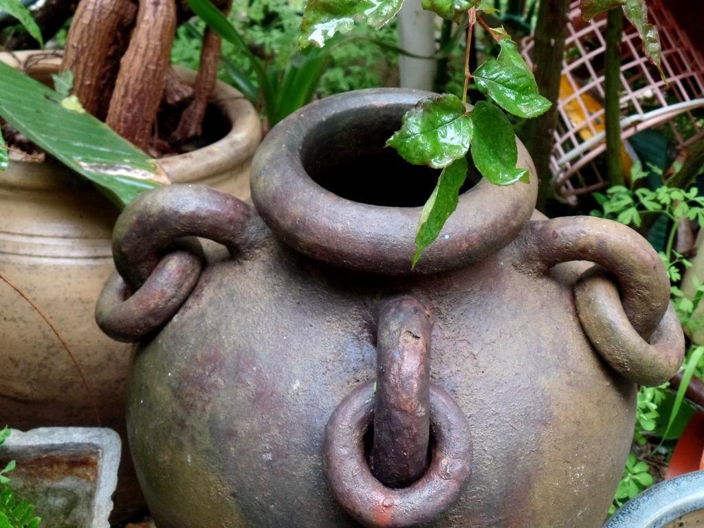 Cozy Garden Apartman Jeruzsálem Kültér fotó