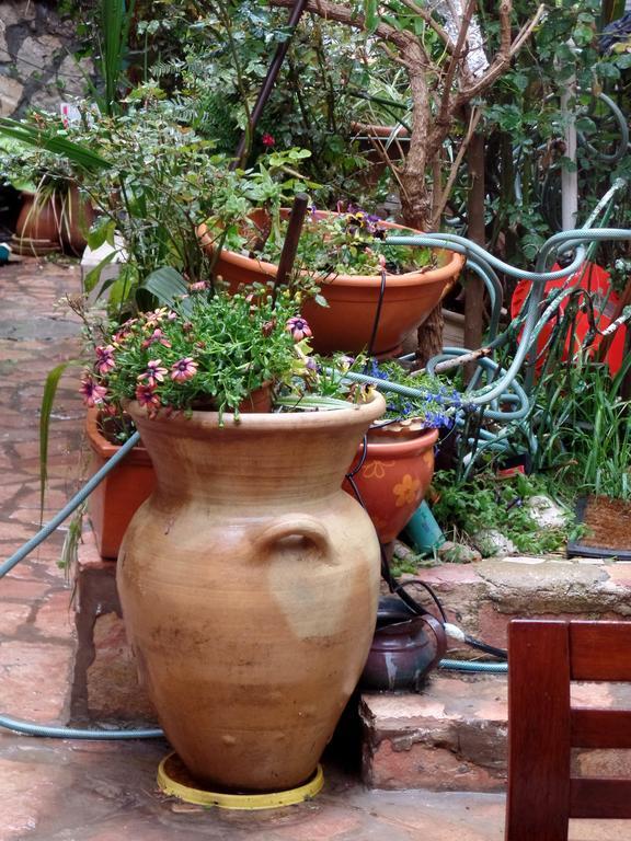 Cozy Garden Apartman Jeruzsálem Kültér fotó