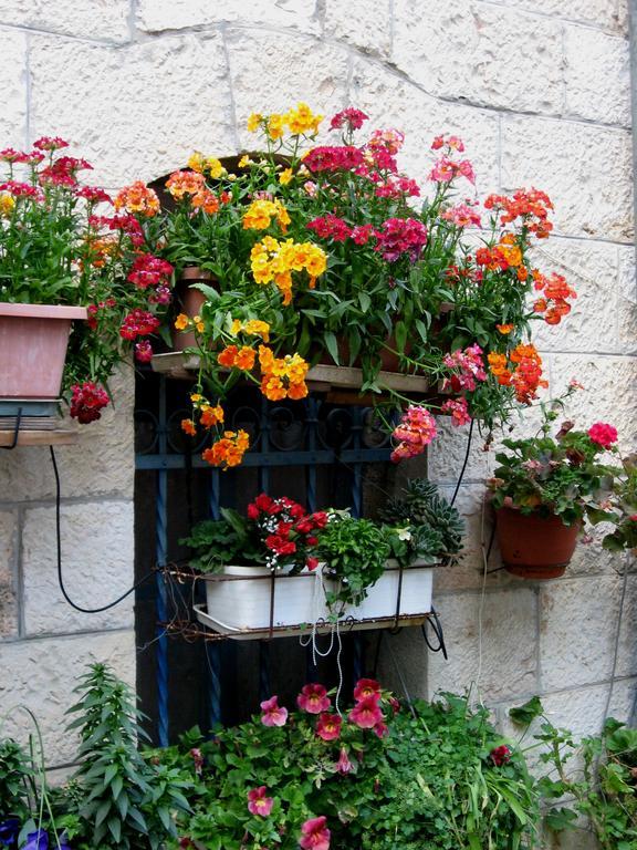 Cozy Garden Apartman Jeruzsálem Kültér fotó